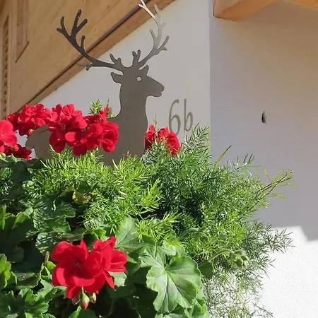 Appartamento Mountainlodge Dorfhaus *